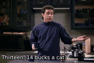 Thirteen, 14 bucks a cat? - The Stock Tip