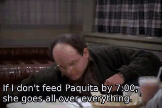 If I don't feed Paquita by 7:00, she goes all over everything. - The Busboy